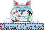 Gif animé coucou c'est moi chat